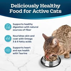 Blue Buffalo® Tastefuls&trade; Healthy Living Adult Dry Cat Food, Natural Chicken & Brown Rice -Catit Store 5291427 alt3