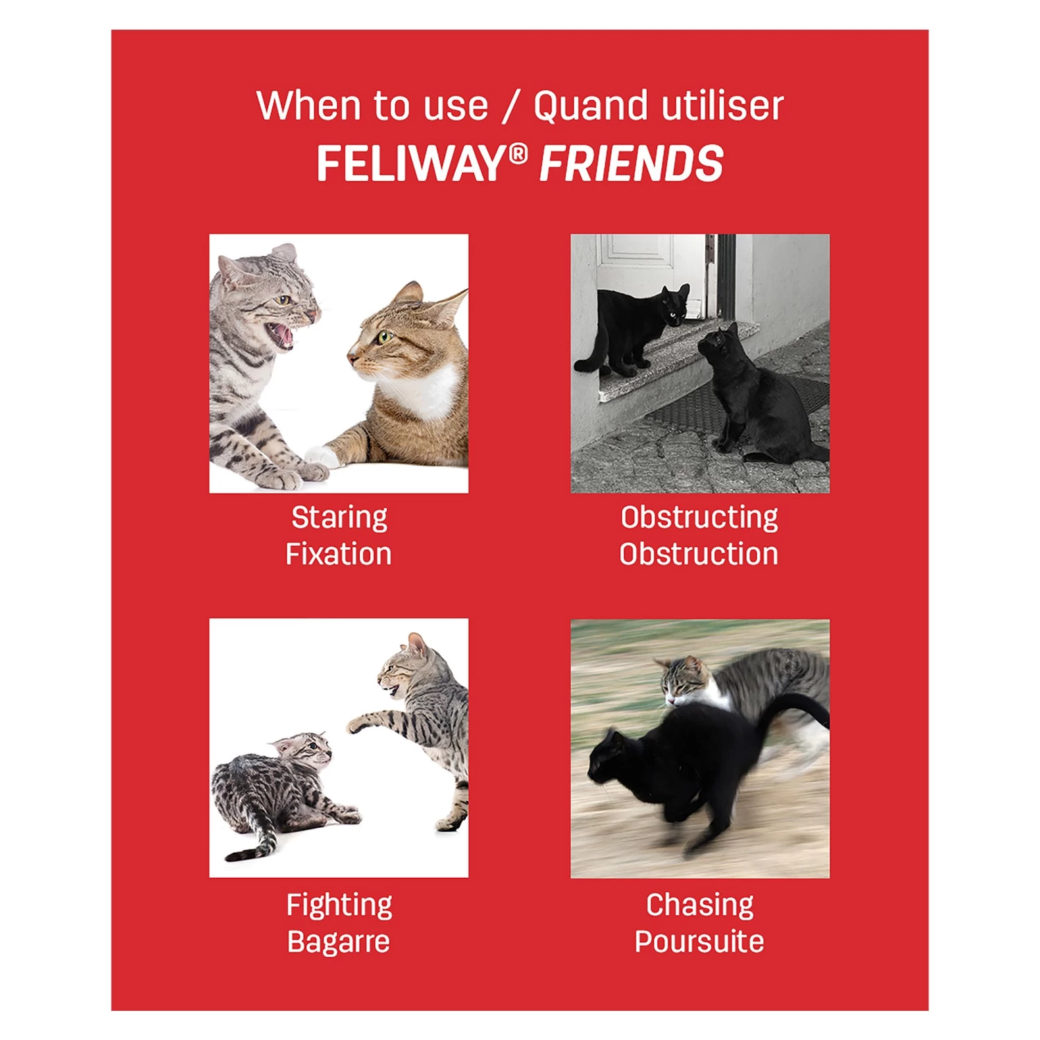 FELIWAY Friends Plug-In Calming Diffuser And Refill 30 Day Starter Kit For Cats 5 FELIWAY Friends Plug-In Calming Diffuser And Refill 30 Day Starter Kit For Cats - Image 3