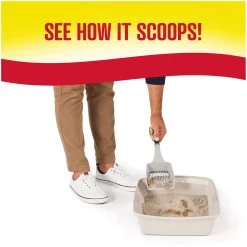 Great Choice® Maximum Strength Clumping Multi-Cat Clay Cat Litter - Scented -Catit Store 5294570 alt2