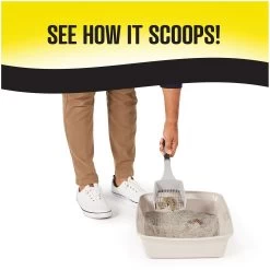 Great Choice® 4-in-1 Performance Clumping Multi-Cat Clay Cat Litter - Scented -Catit Store 5294571 alt2