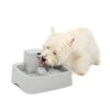 PetSafe® Drinkwell® Pet Fountain 2 PetSafe® Drinkwell® Pet Fountain -Catit Store 5295963