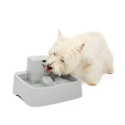 PetSafe® Drinkwell® Pet Fountain