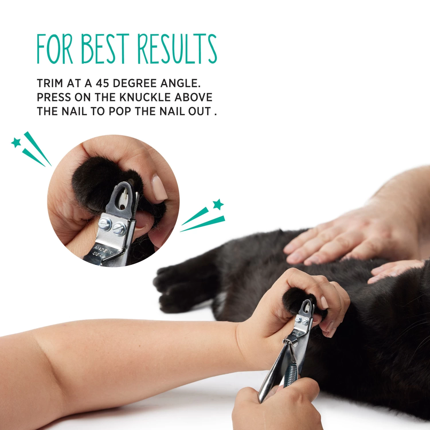 Whisker City® Guillotine Cat Nail Clipper 6 Whisker City® Guillotine Cat Nail Clipper - Image 4