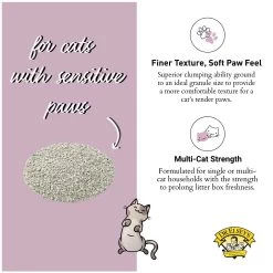 Dr. Elsey's Precious Cat Paw Sensitive Clumping Multi-Cat Clay Cat Litter - Low Dust -Catit Store 5299230 alt2