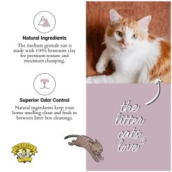 Dr. Elsey's Precious Cat Paw Sensitive Clumping Multi-Cat Clay Cat Litter - Low Dust -Catit Store 5299230 alt3