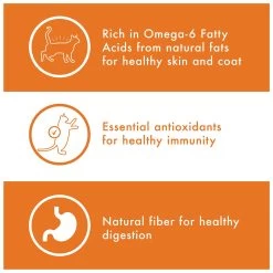 Nutro Wholesome Essentials Adult Cat Food - Chicken & Brown Rice, Non-GMO -Catit Store 5299314 alt3