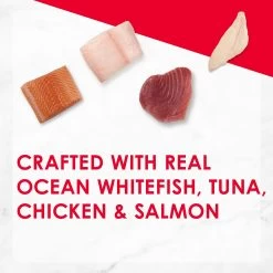 Fancy Feast® Collection Wet Cat Food Variety Pack -Catit Store 5301308 alt2