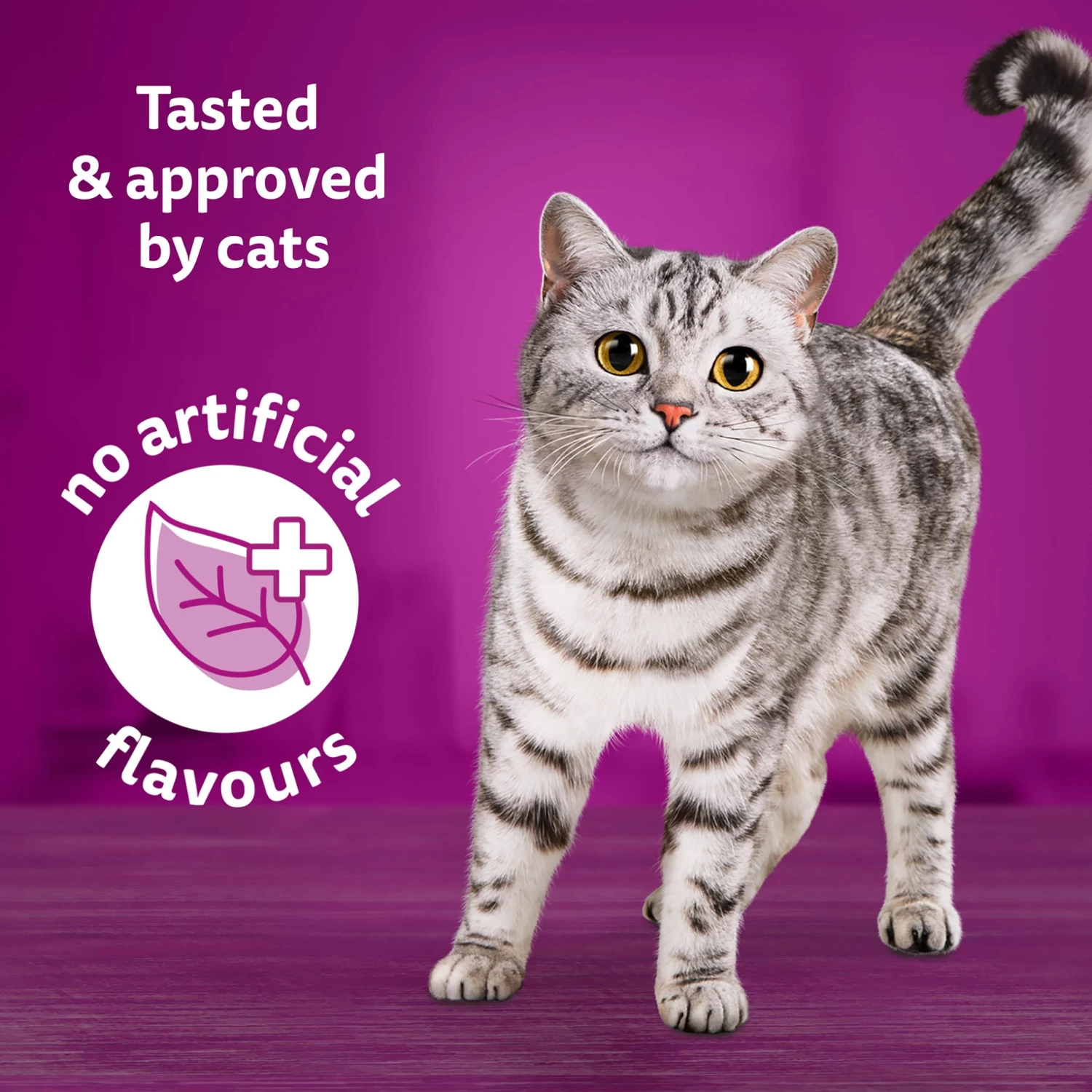 WHISKAS® Salmon & Poultry Selections Pate Variety Pack Cat Food - 24 Pack 5 WHISKAS® Salmon & Poultry Selections Pate Variety Pack Cat Food - 24 Pack - Image 3