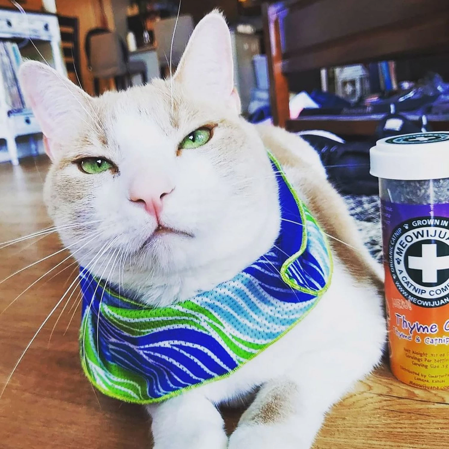 Meowijuana® Pawty Mix Catnip 7 Meowijuana® Pawty Mix Catnip - Image 5