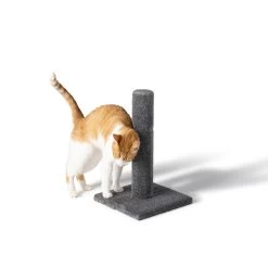 Whisker City® 19-in Carpet Scratching Post
