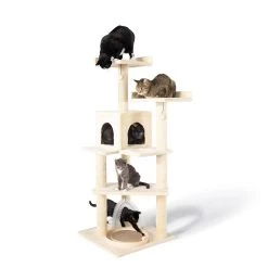 Whisker City® 60-in Playbox, Ball Track With Scratcher Toys Cat Tree