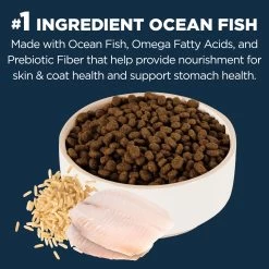 Authority® Sensitive Stomach & Skin Cat Dry Food - Ocean Whitefish & Rice, With-Grain -Catit Store 5309313 alt2