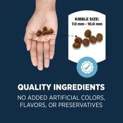 Authority® Sensitive Stomach & Skin Cat Dry Food - Ocean Whitefish & Rice, With-Grain -Catit Store 5309313 alt3