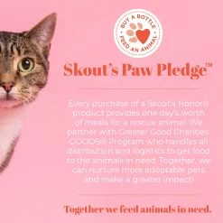 Skout's Honor® Advanced Severe Mess Solution Stain & Odor Remover 15 Skout's Honor® Advanced Severe Mess Solution Stain & Odor Remover -Catit Store 5318417 alt6