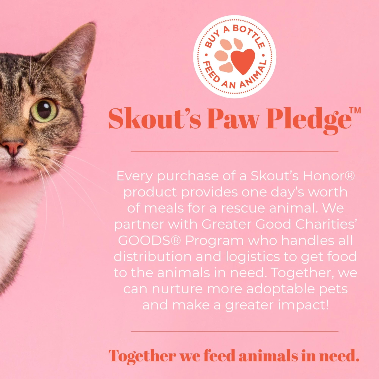 Skout's Honor® Advanced Severe Mess Solution Stain & Odor Remover 9 Skout's Honor® Advanced Severe Mess Solution Stain & Odor Remover - Image 7