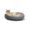 Whisker City® Bolster Cat Bed -Catit Store 5321109