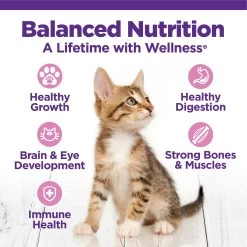Wellness Complete Health Kitten Dry Cat Food - Chicken, With Grain, Natural -Catit Store 5322808 alt3