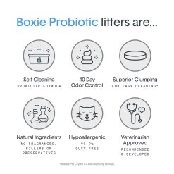 BoxiePro Clumping Clay Cat Litter - Unscented, Low Dust, Low Tracking 9 BoxiePro Clumping Clay Cat Litter - Unscented, Low Dust, Low Tracking -Catit Store 5323675 alt2