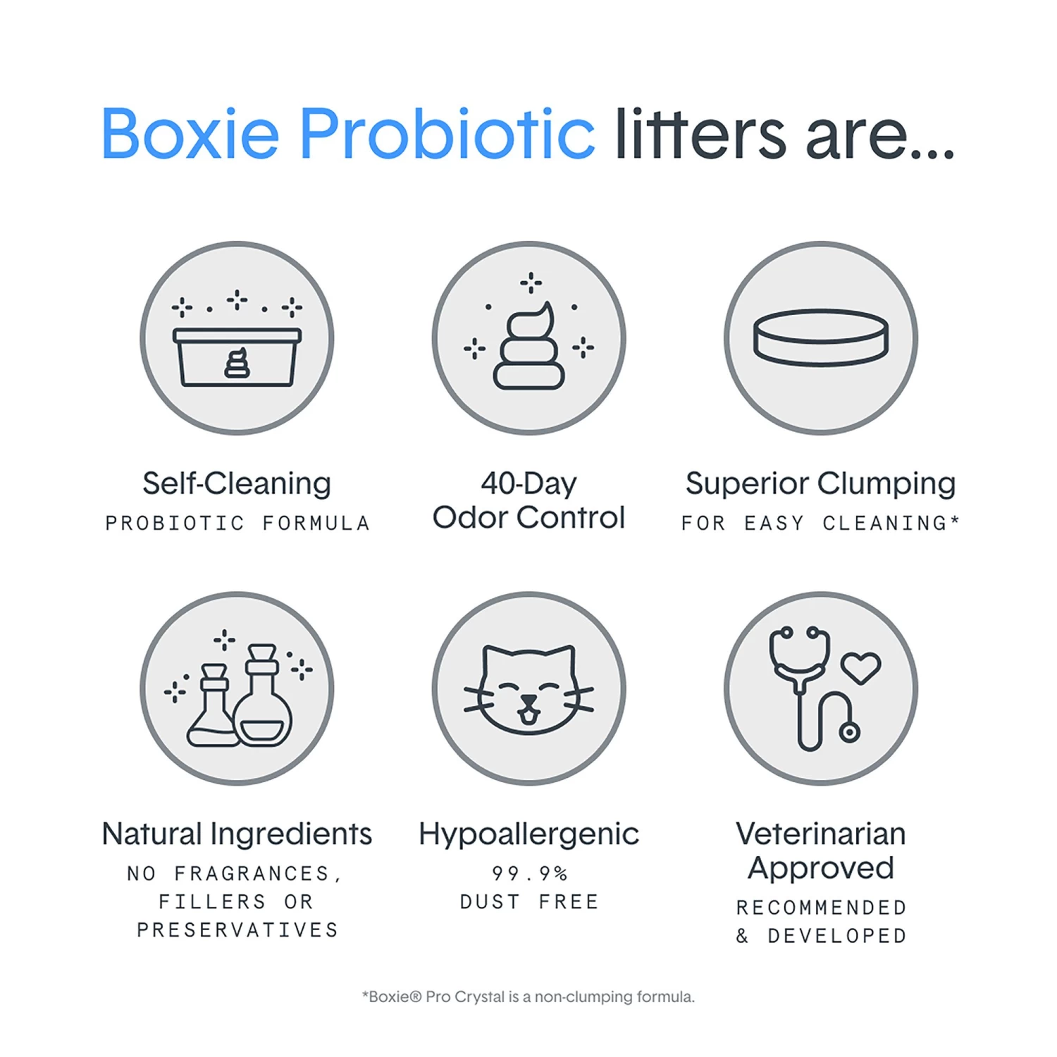 BoxiePro Clumping Clay Cat Litter - Unscented, Low Dust, Low Tracking 5 BoxiePro Clumping Clay Cat Litter - Unscented, Low Dust, Low Tracking - Image 3