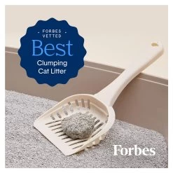 BoxiePro Clumping Clay Cat Litter - Unscented, Low Dust, Low Tracking 10 BoxiePro Clumping Clay Cat Litter - Unscented, Low Dust, Low Tracking -Catit Store 5323675 alt3