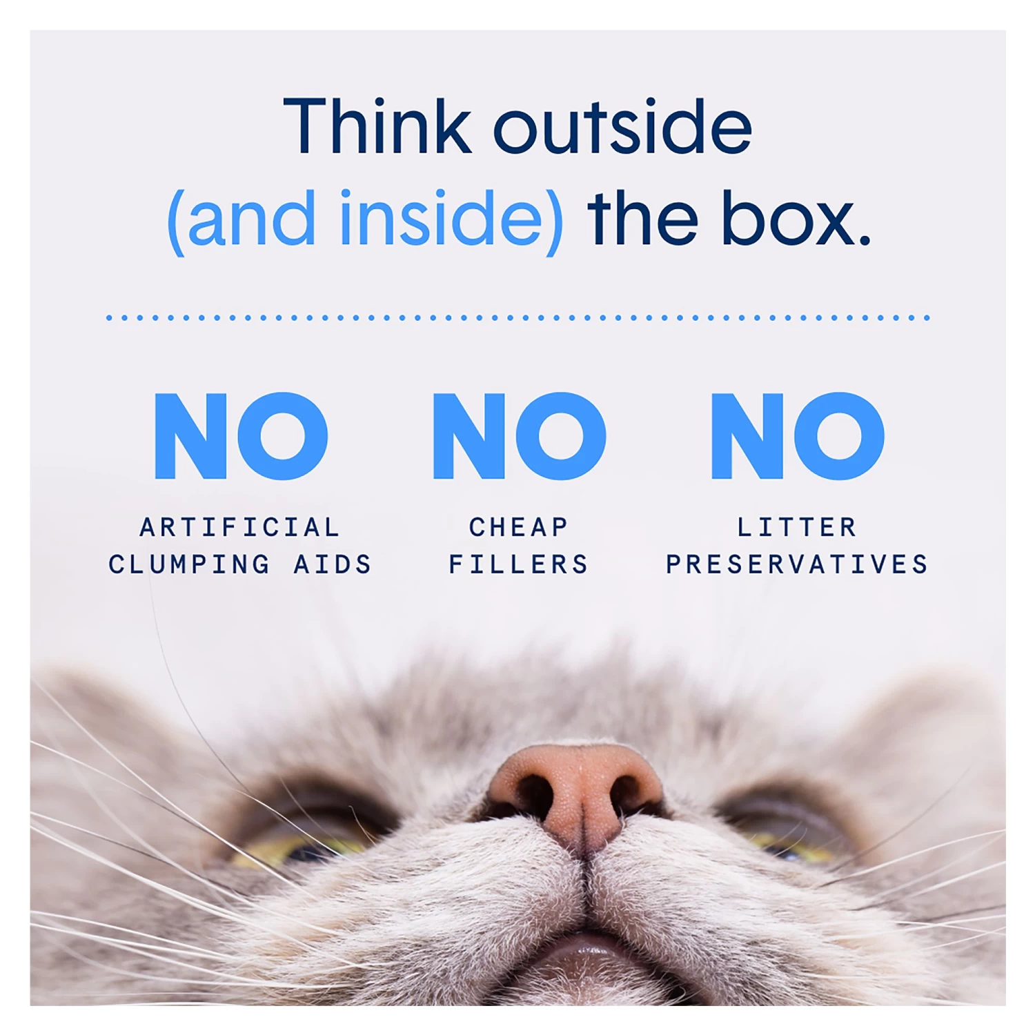 BoxiePro Clumping Clay Cat Litter - Unscented, Low Dust, Low Tracking 7 BoxiePro Clumping Clay Cat Litter - Unscented, Low Dust, Low Tracking - Image 5