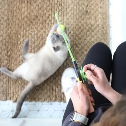 Mad Cat Fishing Pole Frenzy Cat Toy -Catit Store 5324084 alt4