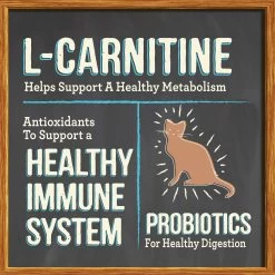 Merrick® Purrfect Bistro® Adult Dry Cat Food - Chicken, Grain Free, No Artificial Flavors 10 Merrick® Purrfect Bistro® Adult Dry Cat Food - Chicken, Grain Free, No Artificial Flavors -Catit Store 5325385 alt3