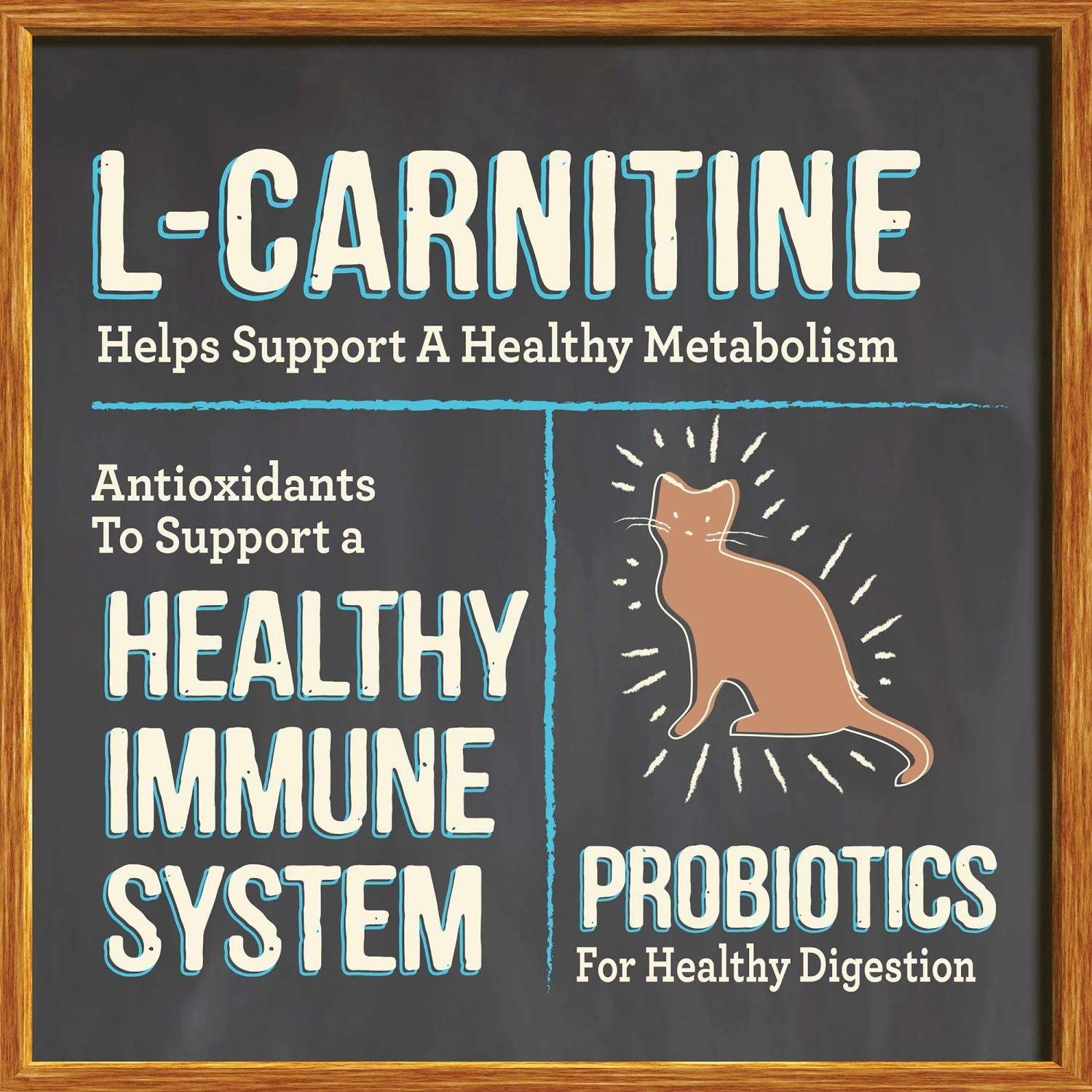 Merrick® Purrfect Bistro® Adult Dry Cat Food - Chicken, Grain Free, No Artificial Flavors 6 Merrick® Purrfect Bistro® Adult Dry Cat Food - Chicken, Grain Free, No Artificial Flavors - Image 4