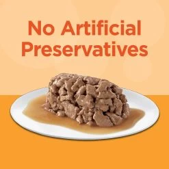 Iams Perfect Portions Grain Free Healthy Adult Cat Food - Chicken And Tuna Flavor -Catit Store 5326209 alt4