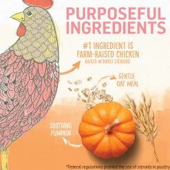 Purina Beyond Kitten Chicken And Oatmeal Recipe Dry Kitten Food 11 Purina Beyond Kitten Chicken And Oatmeal Recipe Dry Kitten Food -Catit Store 5326589 alt2