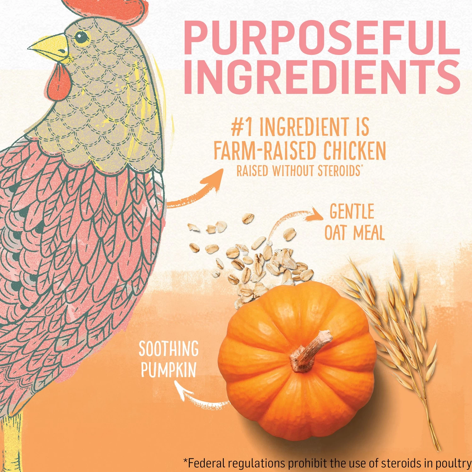 Purina Beyond Kitten Chicken And Oatmeal Recipe Dry Kitten Food 5 Purina Beyond Kitten Chicken And Oatmeal Recipe Dry Kitten Food - Image 3