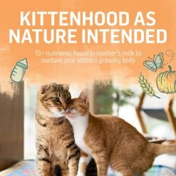 Purina Beyond Kitten Chicken And Oatmeal Recipe Dry Kitten Food 13 Purina Beyond Kitten Chicken And Oatmeal Recipe Dry Kitten Food -Catit Store 5326589 alt4