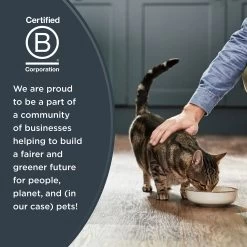 Reveal Limited Ingredient All Life Stage Wet Cat Food In Gravy - Grain Free, 2.47 Oz, 12 Count -Catit Store 5327965 alt6