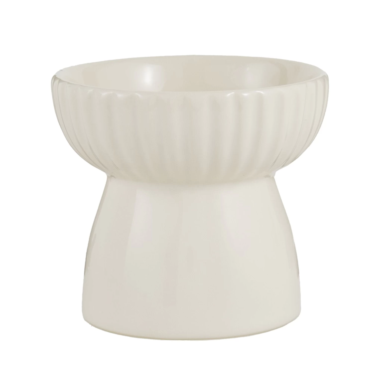 Whisker City® Boho Ivy Raised Cat Bowl, 1.25-cup 3 Whisker City® Boho Ivy Raised Cat Bowl, 1.25-cup