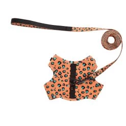 Whisker City® Cheetah Cat Leash & Harness Combo