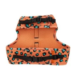 Whisker City® Cheetah Cat Leash & Harness Combo -Catit Store 5331280 alt2