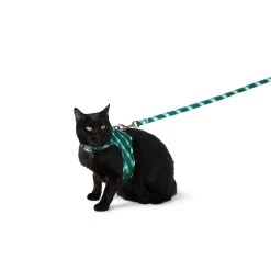 Whisker City® Green Plaid Cat Leash & Harness Combo 9 Whisker City® Green Plaid Cat Leash & Harness Combo -Catit Store 5331386 alt1