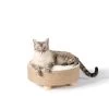 Whisker City® Sherpa Scratch And Sleep Cat Bed -Catit Store 5336567
