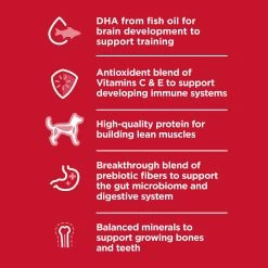 Hill's Science Diet Kitten Ocean Fish 7LB -Catit Store 5338146 alt4