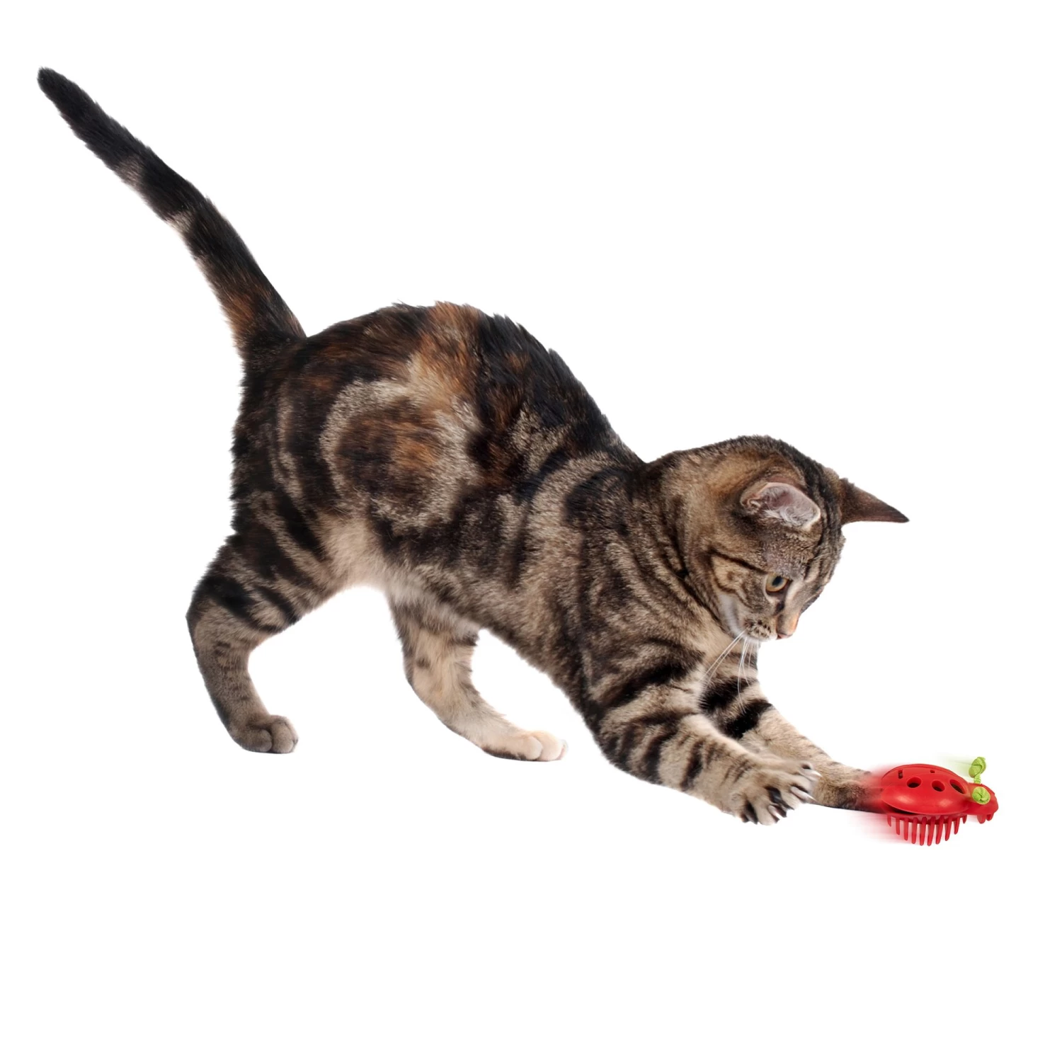 Instincts SmartyKat Rumble Bug Electronic Motion Cat Toy 7 Instincts SmartyKat Rumble Bug Electronic Motion Cat Toy - Image 5