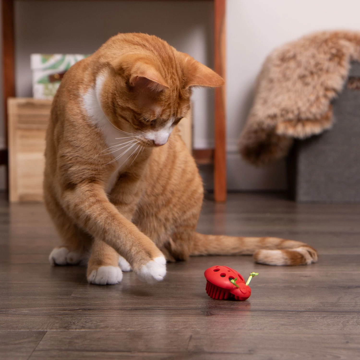 Instincts SmartyKat Rumble Bug Electronic Motion Cat Toy 8 Instincts SmartyKat Rumble Bug Electronic Motion Cat Toy - Image 6