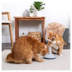 Instincts SmartyKat Wild Wand Cat Toy -Catit Store 5338516 alt5