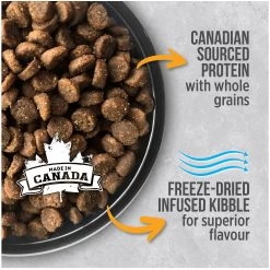 Nutrience Infusion Healthy Adult Dry Cat Food - Chicken -Catit Store 5338726 alt3