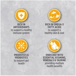 Nutrience Infusion Healthy Adult Dry Cat Food - Chicken -Catit Store 5338726 alt4