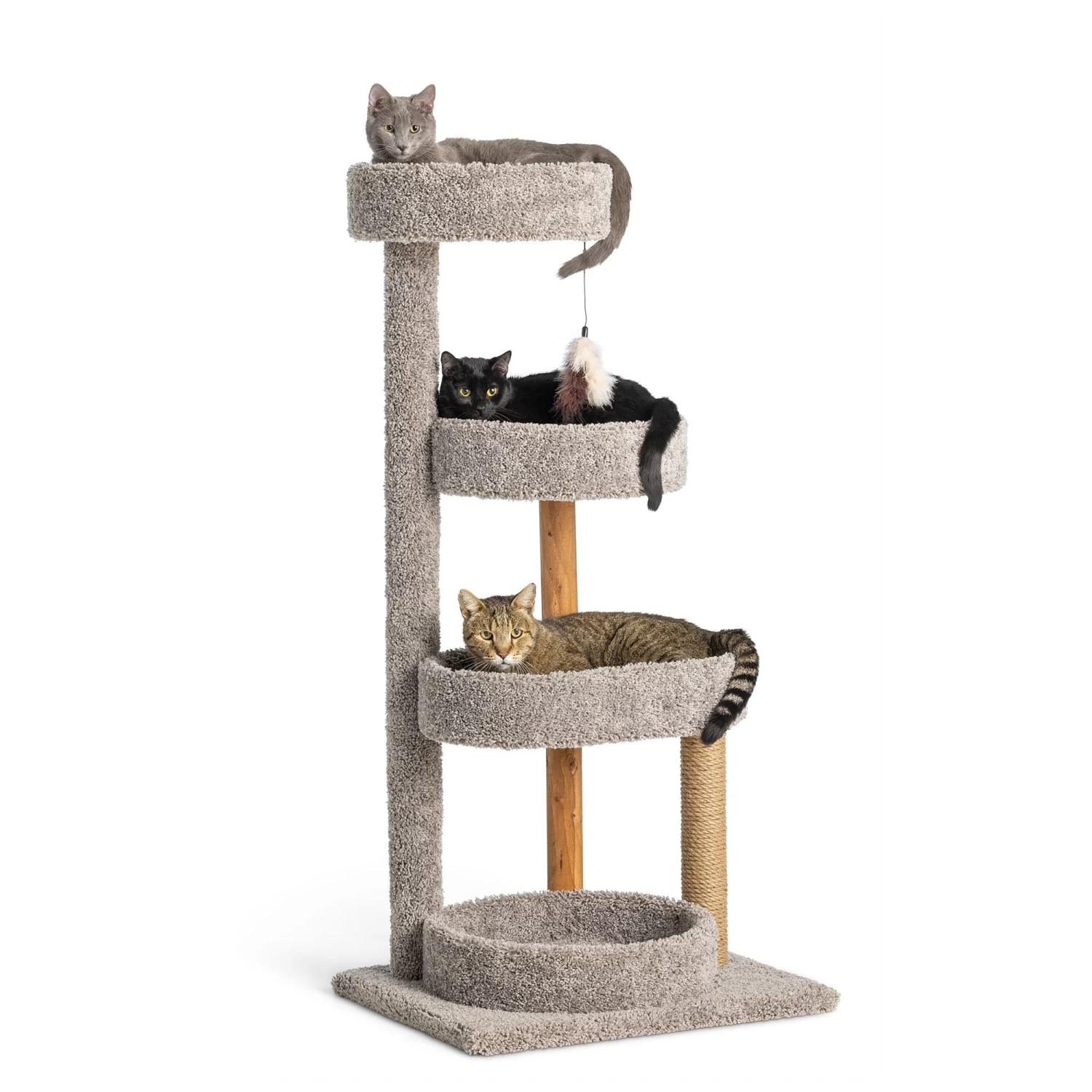 Whisker City® 51-in Treetop Terrace Cat Tower (COLOR VARIES) 3 Whisker City® 51-in Treetop Terrace Cat Tower (COLOR VARIES)