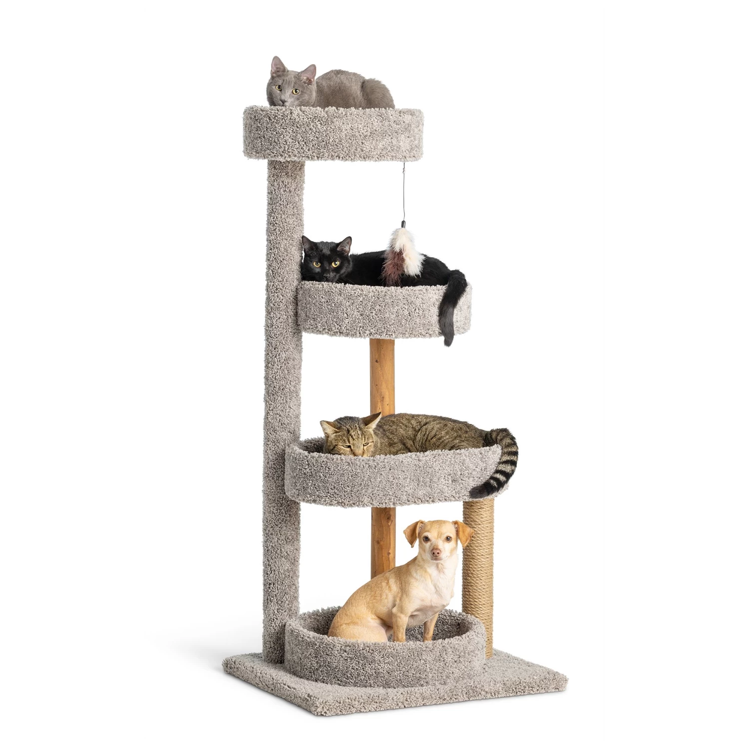 Whisker City® 51-in Treetop Terrace Cat Tower (COLOR VARIES) 4 Whisker City® 51-in Treetop Terrace Cat Tower (COLOR VARIES) - Image 2