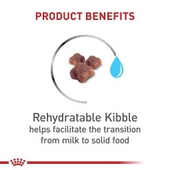 Royal Canin Mother & Babycat Dry Cat Food 3LB 12 Royal Canin Mother & Babycat Dry Cat Food 3LB -Catit Store 5339757 alt3