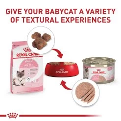 Royal Canin Mother & Babycat Dry Cat Food 3LB 14 Royal Canin Mother & Babycat Dry Cat Food 3LB -Catit Store 5339757 alt5