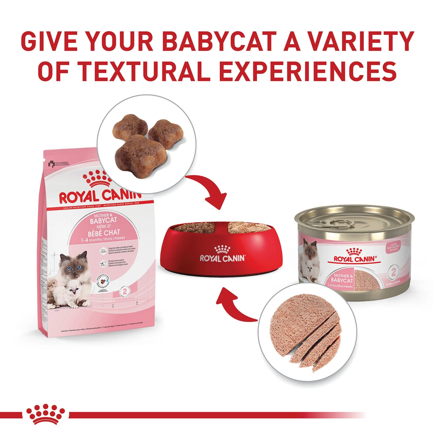 Royal Canin Mother & Babycat Dry Cat Food 3LB 8 Royal Canin Mother & Babycat Dry Cat Food 3LB - Image 6