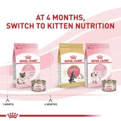 Royal Canin Mother & Babycat Dry Cat Food 3LB 15 Royal Canin Mother & Babycat Dry Cat Food 3LB -Catit Store 5339757 alt6